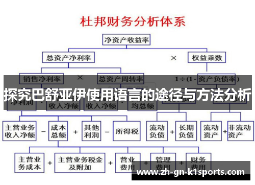 探究巴舒亚伊使用语言的途径与方法分析